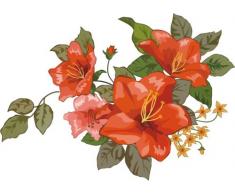 Indigos 4051719818277 Wandtattoo ME147 BlÃ¼ten Blumen Retro Pflanzen Rose 80 x 57 cm