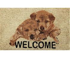 Coco&Coir® Premium kokos Fußmatte | Kokosnussmatte mit rutschfestem PVC | Fußwischer für den Eingangsbereich | für den Außen- und Innenbereich | 45 x 75 cm