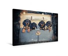 Premium Textil-Leinwand 90 x 60 cm Quer-Format Welpen von der Laaberbergmeute, Langhaar, Standard, schwarz-rot/-tiger | Wandbild, HD-Bild auf Keilrahmen, Fertigbild auf hochwertigem Vlies, Leinwanddruck von Anja Foto Grafia Fotografie