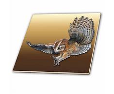 3dRose Fliesen, Multicolor, 6-inch-Ceramic