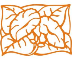 INDIGOS/Wandaufkleber-e185 hübsche Trompetenblume 120x86 cm- orange, Vinyl, 120 x 86 x 1 cm