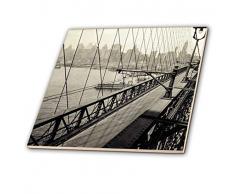 3dRose CT 270012 _ 1 Keramik Fliesen, 10,2 cm