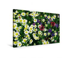 Premium Textil-Leinwand 90 x 60 cm Quer-Format Wildkräuter Schönheiten | Wandbild, HD-Bild auf Keilrahmen, Fertigbild auf hochwertigem Vlies, Leinwanddruck von Avianaarts Design Fotografie by Tanja Riedel
