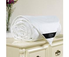 Lilysilk Ganzjahresdecke aus 100 % natürlicher Maulbeeren-Seidenfüllung, gefüllt Casual Twin weiß