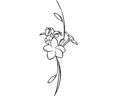 INDIGOS WG30189-80 Wandtattoo w189 Pflanze Blume Ranke Wandaufkleber 120 x 47 cm, braun