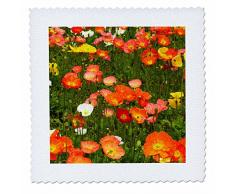 3dRose Botanischen Garten bei Queens Park, Invercargill, Southland, Neuseeland – Quilt Platz, 8 von 8 Zoll (QS 209973 _ 3)