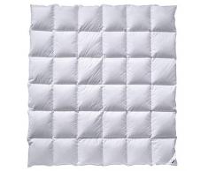 Billerbeck Bettdecke Super-Edition Kassette II Wärmestufe warm 200 x 200 cm, Weiß, 200x200 cm