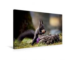 Calvendo Premium Textil-Leinwand 75 cm x 50 cm Quer, Hurra, Ich Hab Mein Osternest Gefunden. | Wandbild, Bild auf Keilrahmen, Fertigbild auf Echter Leinwand, Leinwanddruck Tiere Tiere