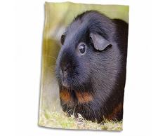 3dRose Black Guinea Pig Handtücher, 15 x 22