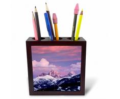 3dRose PH 207493 _ 1 USA, Arizona, Sonora-Wüste, Saguaro NP, Feigenkaktus. Tile Stifthalter, 12,7 cm