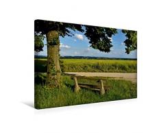 Premium Textil-Leinwand 45 x 30 cm Quer-Format Bank mit Ausblick nach Moosburg | Wandbild, HD-Bild auf Keilrahmen, Fertigbild auf hochwertigem Vlies, Leinwanddruck von Dr. Brigitte Deus-Neumann