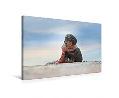 Premium Textil-Leinwand 75 x 50 cm Quer-Format Der Dackel | Wandbild, HD-Bild auf Keilrahmen, Fertigbild auf hochwertigem Vlies, Leinwanddruck von Anja Foto Grafia Fotografie