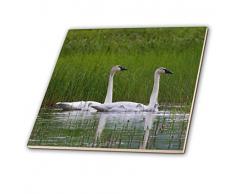 3dRose Fliesen, 6-inch-Ceramic