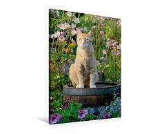 Premium Textil-Leinwand 60 x 90 cm Hoch-Format Rote Katze auf Holzfass im blühenden Garten | Wandbild, HD-Bild auf Keilrahmen, Fertigbild auf hochwertigem Vlies, Leinwanddruck von Katho Menden