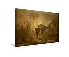 Premium Textil-Leinwand 45 x 30 cm Quer-Format Zauberhaftes Namibia - Natur und Landschaft | Wandbild, HD-Bild auf Keilrahmen, Fertigbild auf hochwertigem Vlies, Leinwanddruck von Günter Franz Müller Fotografie