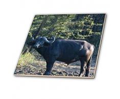 3dRose CT 20120 _ 4 South African Buffalo Seite View Face View Keramik Fliesen, 30,5 cm