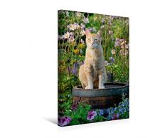 Premium Textil-Leinwand 30 x 45 cm Hoch-Format Rote Katze auf Holzfass im blühenden Garten | Wandbild, HD-Bild auf Keilrahmen, Fertigbild auf hochwertigem Vlies, Leinwanddruck von Katho Menden
