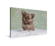 Premium Textil-Leinwand 75 x 50 cm Quer-Format Angel entdeckt die Seifenblasen | Wandbild, HD-Bild auf Keilrahmen, Fertigbild auf hochwertigem Vlies, Leinwanddruck von N N