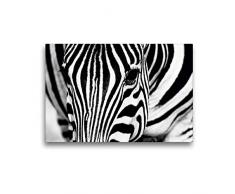 Premium Textil-Leinwand 45 x 30 cm Quer-Format Afrika: Nahaufnahme eines Steppenzebra in Botswana | Wandbild, HD-Bild auf Keilrahmen, Fertigbild auf hochwertigem Vlies, Leinwanddruck von Angelika Stern