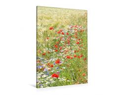 Premium Textil-Leinwand 80 x 120 cm Hoch-Format Blumen im Kornfeld | Wandbild, HD-Bild auf Keilrahmen, Fertigbild auf hochwertigem Vlies, Leinwanddruck von Gisela Kruse