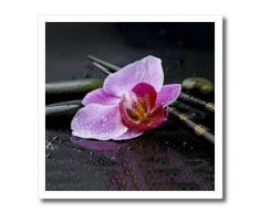 3dRose ht_274725_1 Pink Orchidee Zen Style auf feucht schwarzer Oberfläche zum Aufbügeln, transparent