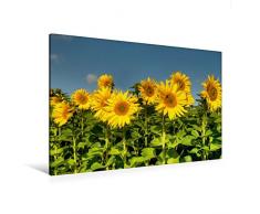 Calvendo Premium Textil-Leinwand 120 cm x 80 cm quer, Wir Alle zusammen | Wandbild, Bild auf Keilrahmen, Fertigbild auf echter Leinwand, Leinwanddruck Menschen Menschen