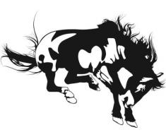 INDIGOS 4051095050407 Wandtattoo w606 feueriges Pferd Wandaufkleber in 3 Größen, 120 x 66 cm, schwarz