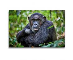 Premium Textil-Leinwand 120 x 80 cm Quer-Format Porträt eines wilden Schimpansen, Pan troglodytes, Kibale-Nationalpark, Fort Portal, Uganda, Afrika | Wandbild, HD-Bild auf Keilrahmen, Fertigbild auf hochwertigem Vlies, Leinwanddruck