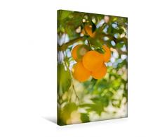 Premium Textil-Leinwand 30 x 45 cm Hoch-Format Früchte im Garten | Wandbild, HD-Bild auf Keilrahmen, Fertigbild auf hochwertigem Vlies, Leinwanddruck von Carmen Steinerund Matthias Konrad