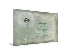 Calvendo Premium Textil-Leinwand 120 cm x 80 cm quer, Jedes Alter hat Seine Reize | Wandbild, Bild auf Keilrahmen, Fertigbild auf echter Leinwand, Leinwanddruck: Fotografie und Zitat Wissen Wissen