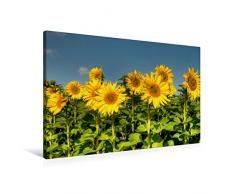 Calvendo Premium Textil-Leinwand 90 cm x 60 cm quer, Wir Alle zusammen | Wandbild, Bild auf Keilrahmen, Fertigbild auf echter Leinwand, Leinwanddruck Menschen Menschen