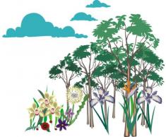 Indigos 4051719805864 Wandtattoo ME088 schÃ¶ner Wald Blumen Gras BlÃ¼ten Natur Pflanzen Wildnis Baum 40 x 34 cm