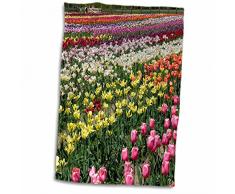 3D Rose Windmühle Island Park Tulpen Holland-Michigan-Us23 Dfr0038-David R. Frazier Hand-/Sporthandtuch, 15 x 22 cm