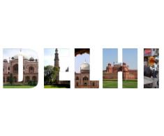 INDIGOS 4052166114196 Wandtattoo w544 Hunde Wandaufkleber 120 x 30 cm, gold