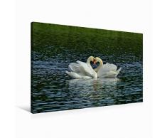 Premium Textil-Leinwand 90 x 60 cm Quer-Format Romantik Pur! | Wandbild, HD-Bild auf Keilrahmen, Fertigbild auf hochwertigem Vlies, Leinwanddruck von René Schaack