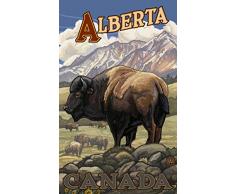 Northwest Art Mall pal-2271 BH Alberta Kanada Bison Herde 27,9 x 43,2 cm Print von Künstler Paul A. lanquist