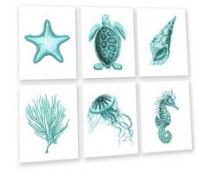 Gnosis Picture Archive Kinderzimmer Wand Decor Strand Thema Türkis Set von 6 20,3 x 25,4 cm Prints gerahmt Meer Schildkröte Muscheln Seestern Qualle Sealife 605 Türkis