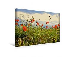 Premium Textil-Leinwand 45 x 30 cm Quer-Format Rosen und Mohnblüten Momente Schweizer Edition | Wandbild, HD-Bild auf Keilrahmen, Fertigbild auf hochwertigem Vlies, Leinwanddruck von Avianaarts Design Fotografie by Tanja Riedel