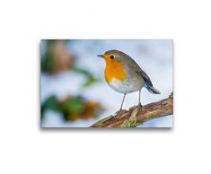 Premium Textil-Leinwand 45 x 30 cm Quer-Format Rotkehlchen | Wandbild, HD-Bild auf Keilrahmen, Fertigbild auf hochwertigem Vlies, Leinwanddruck von Em-Jott Fotografie