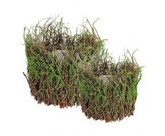 Essential Décor Fußballhose Entrada Collection 2 teilig rund Korb mit Moos Dekoration