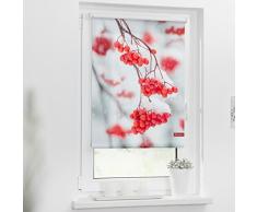 Lichtblick Rollo Klemmfix, 80 x 150 cm mit Motiv Vogelbeeren - Rot Weiß Montage ohne Bohren, moderner Sicht-und Sonnenschutz, Motivrollo, lichtdurchlässig & Blickdicht