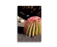 Premium Textil-Leinwand 30 x 45 cm Hoch-Format Sonnenhungriger Kaktus mit hübschen roten Stacheln | Wandbild, HD-Bild auf Keilrahmen, Fertigbild auf hochwertigem Vlies, Leinwanddruck von elke kunkel fotografie