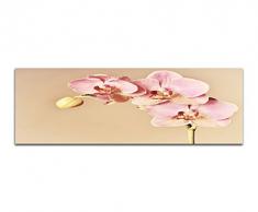 Panoramabild auf Leinwand und Keilrahmen 150x50cm Orchidee BlÃ¼ten