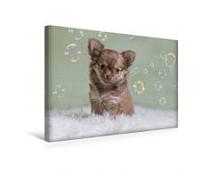 Premium Textil-Leinwand 45 x 30 cm Quer-Format Angel entdeckt die Seifenblasen | Wandbild, HD-Bild auf Keilrahmen, Fertigbild auf hochwertigem Vlies, Leinwanddruck von N N