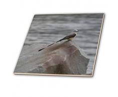 3dRose CT 21174 _ 4 Scheren grundschnäpper Tailed Keramik Fliesen, 30,5 cm