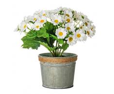 EUROCINSA Ref.60020C01 Schrank Gänseblümchen, 4 Stück, Kunststoff, Metall, 20 x 23 cm