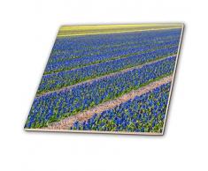 3dRose Keramik Fliesen, 10,2 cm