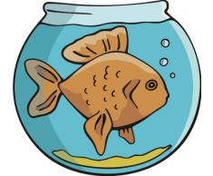 Indigos 4051719822236 Wandtattoo ME151 Fischglas Aquarium Wasser 60 x 56 cm