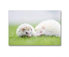 Premium Textil-Leinwand 90 x 60 cm Quer-Format Afrikanischer Weißbauchigel - nicht immer nur ein Einzelgänger | Wandbild, HD-Bild auf Keilrahmen, Fertigbild auf hochwertigem Vlies, Leinwanddruck von Andreas und Marina Zimmermann Fotografie GbR