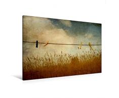 Calvendo Premium Textil-Leinwand 120 cm x 80 cm Quer, Stillleben WÃ¤scheleine im Schilffeld | Wandbild, Bild auf Keilrahmen, Fertigbild auf Echter Leinwand, Leinwanddruck: Retro Charme Natur Natur